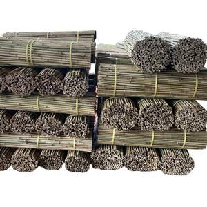 Vente en gros de poteaux en bambou Moso du Vietnam grand tube de poteau en bambou traité pour la construction et la décoration de plafond de l'usine - Product Image 1