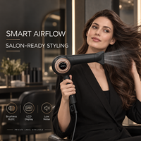 Sèche-cheveux professionnel de salon avec buse concentratrice, noir mat, outil de coiffage électrique pour barbier et usage domestique, logo personnalisé