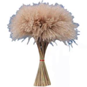 <span class=keywords><strong>Bouquet</strong></span> immortel en roseau naturel, décoration <span class=keywords><strong>de</strong></span> fenêtre, ornements, fouet en <span class=keywords><strong>épi</strong></span> <span class=keywords><strong>de</strong></span> <span class=keywords><strong>blé</strong></span>, fleur séchée, technique pastorale, Chine, gratuit - Product Image 5