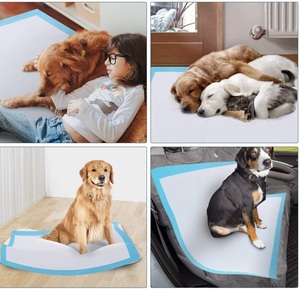 High Absorbent SAP Fashion <strong>Dog</strong> Training Pads 800-1000ml Capacity Sustainable Made with Cotton Tissue Wood Pulp Bathroom Use - Product Image 2