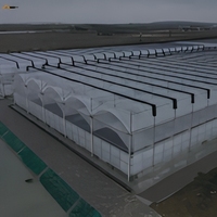 Film de serre diffuseur de lumière de haute qualité, film de couverture agricole en PO à 7 couches coextrudées, vente en gros d'usine