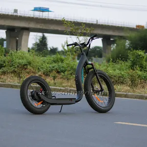 Двухколесный дешевый взрослый Электрический откидной велосипед ширококолесный толстые шины 500 Вт Электрический скутер
