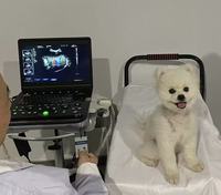 Appareil d'échographie vétérinaire portable de 15,6 pouces, scanner Doppler couleur 3D, imagerie à contraste élevé pour équidés et canins