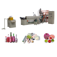 HeXing entièrement automatique PE EPE Fruit mousse filet faisant la machine d'extrusion