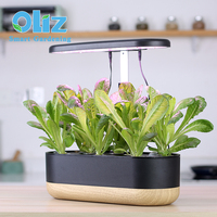Pot Tanaman Sayuran Dalam Ruangan Pintar Ramah Lingkungan Oliz Hitam Putih Baru dengan Indikator Air dan Sistem Penyiraman Otomatis, Bunga Artifisial