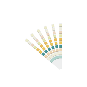 Bandelettes de test urinaire à 10 paramètres, système d'analyse d'<span class=keywords><strong>urine</strong></span> sur papier pour l'analyse des protéines, du pH et du <span class=keywords><strong>sucre</strong></span> - Product Image 5