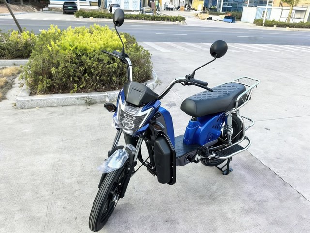 500W Steel Frame Electric Cargo Bicycle 17 Inch City Max Speed45km/h 150kg Loading Capacity Multi-purpose Bike