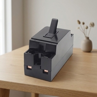 Disjoncteur miniature NT50 de norme américaine pour l'exportation, idéal pour la décoration intérieure et les projets hôteliers au Vietnam