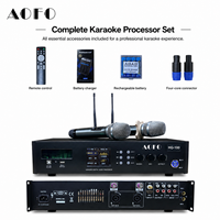 Système de microphone sans fil professionnel, double microphone cravate sans fil pour karaoké, performance scénique, système audio