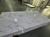 Panneau mural en marbre SPC de 2 mm et 3 mm, revêtement UV haute brillance, résistant à l'humidité, motif floral moderne, pour usage commercial et domestique