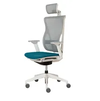 Chaise ergonomique à dossier haut entièrement en maille, 150 kg, chaise de bureau ergonomique pour adulte, siège moderne en métal, hauteur réglable