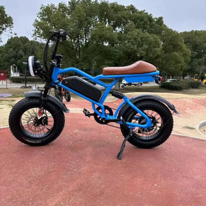 Bicicleta Eléctrica con Velocidad Máxima de 45 km/h, Motor de 500 W, Amortiguación Delantera, Neumáticos 16*4.0, Alcance de 40 km, Resistente al Agua IPX5 con Luces LED - Product Image 4