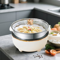 Casserole multifonctionnelle HALEY avec cuiseur vapeur, cuisinière électrique antiadhésive pour dortoirs étudiants et bureaux – Vente en gros