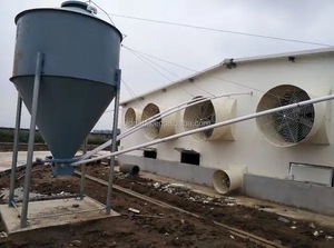 Tự động hệ thống cho ăn cho lợn NEW Nhựa chăn nuôi tự động trung chuyển cho lợn trang trại lợn thiết bị Deba anh em - Product Image 6