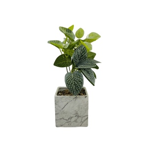 Venta caliente simple maceta <span class=keywords><strong>de</strong></span> cerámica artificial decoración <span class=keywords><strong>interior</strong></span> planta bonsái - Product Image 3