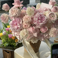 Personnaliser Grande Boule de Fleur Pièce Maîtresse Soie Rose Blush Boule de Fleur Rose pour Mariage Décoration de Table Vente en Gros Usine