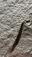 RCL Nouveau Design Rocher Artificiel Intérieur et Extérieur 3D Pu Stone Panneau Mural Décoratif Rock