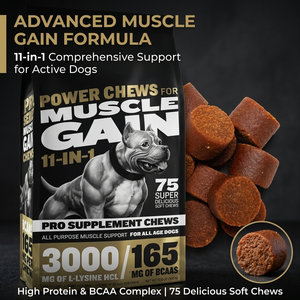 Friandises à mâcher riches en protéines pour la croissance musculaire des chiens, supplément d'acides aminés, constructeur musculaire, soins de santé pour animaux de compagnie, multivitamines et probiotiques pour chats - Product Image 2