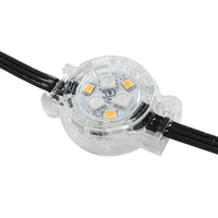 SHIJI 30mm RGBW 6 LED UCS2904 Éclairage LED intelligent étanche à points lumineux IP67 UCS8904 Lumières de piste de Noël extérieures permanentes