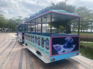 Service OEM/ODM <span class=keywords><strong>Dorlin</strong></span> : Train électrique touristique rétro à 42 places pour enfants - Product Image 2