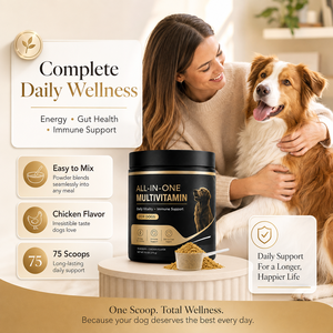 Multivitamínico <span class=keywords><strong>en</strong></span> <span class=keywords><strong>Polvo</strong></span> para Perros con L-Carnitina y Taurina, Apoyo Metabólico y para la Salud del Corazón, Nutrición Diaria para Mascotas, Compra al por Mayor - Product Image 2