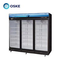 Speciale drankenkast voor supermarkten, grote capaciteit, glazen deur, gekoelde vitrine