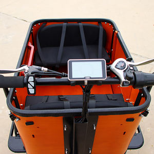 Tricycle adulte hollandais pas cher, classique personnalisé, <span class=keywords><strong>vélo</strong></span> <span class=keywords><strong>cargo</strong></span> électrique à trois roues, <span class=keywords><strong>vélo</strong></span> <span class=keywords><strong>cargo</strong></span> électrique, <span class=keywords><strong>vélo</strong></span> électrique avec housse de pluie - Product Image 4
