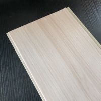 Panneau mural en PVC laminé avec design bois/marbre/texturé pour la décoration intérieure
