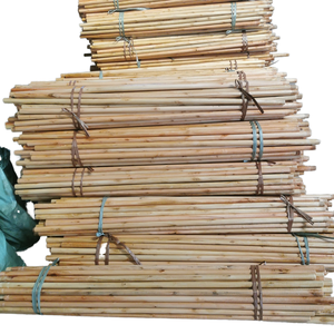 Poste <span class=keywords><strong>de</strong></span> <span class=keywords><strong>madera</strong></span>, palo <span class=keywords><strong>de</strong></span> estaca <span class=keywords><strong>de</strong></span> caña, caña <span class=keywords><strong>de</strong></span> pescar, mango <span class=keywords><strong>de</strong></span> <span class=keywords><strong>madera</strong></span> barnizado <span class=keywords><strong>para</strong></span> <span class=keywords><strong>escoba</strong></span> y fregona, palo <span class=keywords><strong>de</strong></span> <span class=keywords><strong>escoba</strong></span> <span class=keywords><strong>de</strong></span> <span class=keywords><strong>madera</strong></span>, <span class=keywords><strong>escoba</strong></span> <span class=keywords><strong>de</strong></span> uso doméstico - Product Image 1