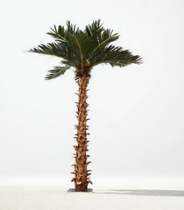 Grande palma tropicale sempreverde artificiale fatto a mano re cocco pianta di palma finto albero decorazione per interni all'aperto - Product Image 2