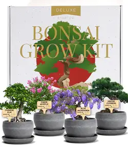 Hoge Kwaliteit Merk Op Maat Brillante Bonsai Grow Kit Tuin Kantoor Kit Verticale Plantset