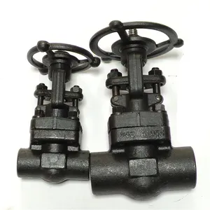 Threaded Small Ends Socket Weld Full Bore Gate Valve With Price