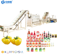 Complementaire Productielijn Van Rub Banjan Rumi Tomaat Inclusief Het Reinigen Van Breekconcentratie Vulmachines