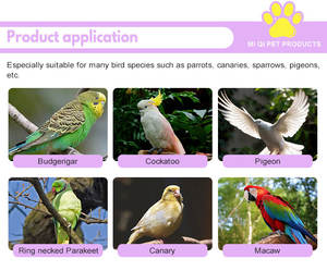 <span class=keywords><strong>Cage</strong></span> à oiseaux en métal OEM à un, deux ou trois niveaux, fournitures pour animaux de compagnie, petite à moyenne <span class=keywords><strong>cage</strong></span> à oiseaux avec cadre en fil d'acier - Product Image 6