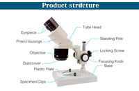 Microscopio Binocular Industrial, herramienta de reparación de reloj y teléfono móvil, estéreo, 40X - 80X