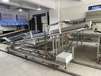 Véhicule de transfert solaire MR-AR Shuttle pour robot à double panneau avec alignement automatique par pont-rail pour robot de nettoyage solaire