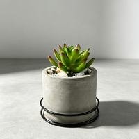 Pot de fleurs rond en ciment de style industriel avec support métallique, jardinière en béton pour balcon, plante succulente, couleur personnalisée