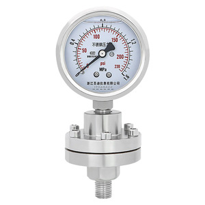 YTP60BF สแตนเลสสตีล ทนต่อการสั่นสะเทือน การเชื่อมต่อแบบเกลียว M14*1.5 2/4 จุด เกจวัดแรงดันไดอะแฟรมทนการกัดกร่อน - Product Image 2