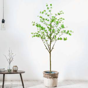 Haute qualité artificielle grand Enkianthus arbre japonais cloche plante verte assemblage <span class=keywords><strong>facile</strong></span> pour jardin extérieur décor en pot bonsaï - Product Image 2