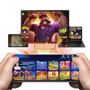 Big Winner Game Vault Online Game Customized Platform Video Game