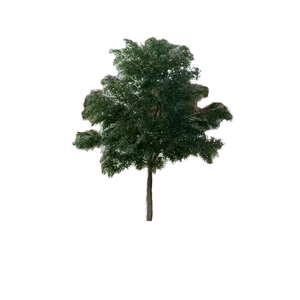 Ramo d'Albero Artificiale in Plastica Verde <span class=keywords><strong>di</strong></span> Alta Qualità per Decorazioni Festive, Decorazioni Ecologiche per Matrimoni, Vendita all'Ingrosso - Product Image 1