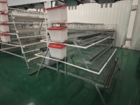 Cage à poules pondeuses de type A pour ferme avicole commerciale de production d'œufs