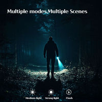 Mini lampe porte-clés avec alarme WT1, 200LM, haute luminosité, alarme 100dB, rechargeable par USB, étanche IPX3, pour le camping, format poche