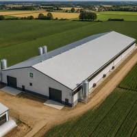 Nave Prefabricada de Acero para Granja Avícola, Panel Sándwich Aislado, Gallinero para Ganado