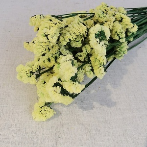 ขายส่งเก็บรักษาดอกไม้ <span class=keywords><strong>Myosotis</strong></span> <span class=keywords><strong>Sylvatica</strong></span> เก็บไว้ลืมฉันไม่ได้สำหรับการจัดดอกไม้ - Product Image 4