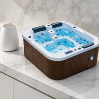 Spa de plein air haut de gamme pour 2 personnes, bain à remous autoportant avec massage, pour jardin, hôtel, maison d'hôtes, usage de loisirs