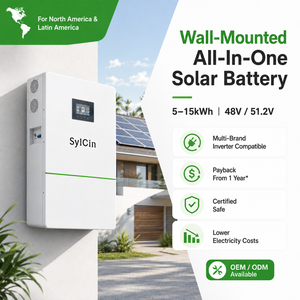 Batterie solaire murale 48V 300Ah LiFePO4 10kwh15kwh Système de stockage d'énergie au lithium en Amérique du Nord et en Amérique latine - Product Image 1