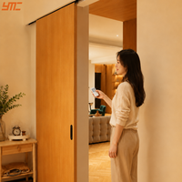 Sistema de Rieles Magnéticos de Levitación Automática con Sensor para Puertas Correderas Comerciales Eléctricas para Proyectos de Construcción