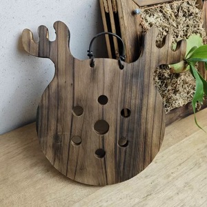 Kit de montage pour fougère à cornes de cerf, panneau mural, support vertical pour plantes, pour orchidées, plantes grimpantes, <span class=keywords><strong>cadre</strong></span> de plantation - Product Image 2