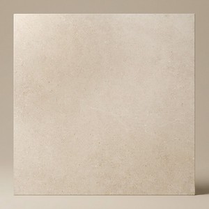 Carrelage en pierre naturelle Petra Bone Tile 12x12 pouces pour sol et mur - Product Image 1